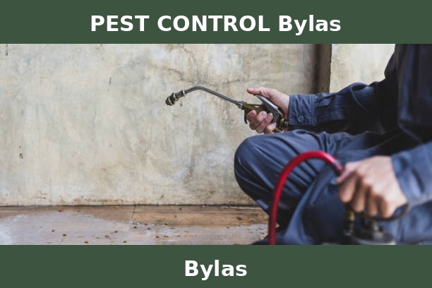 PEST CONTROL Bylas